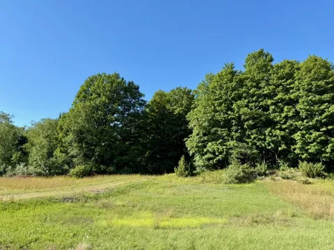 Alden Meadows Drive