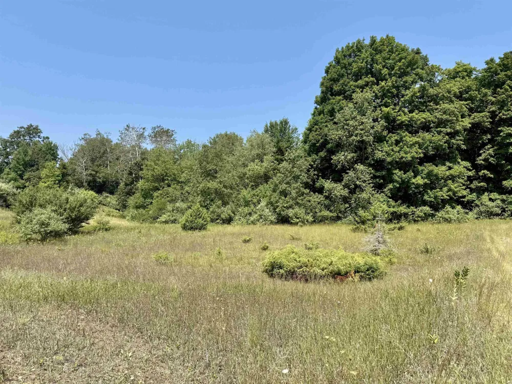 Alden Meadows Drive Helena Township, MI 49612
