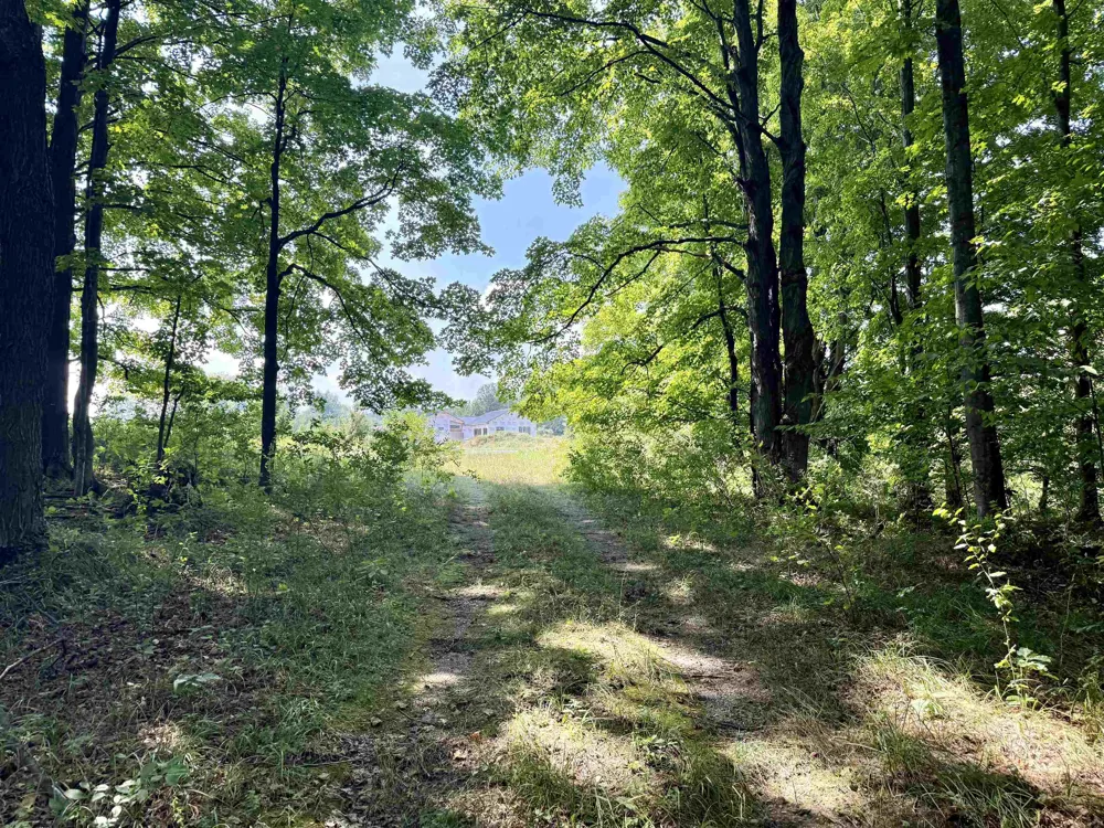 Alden Meadows Drive Helena Township, MI 49612