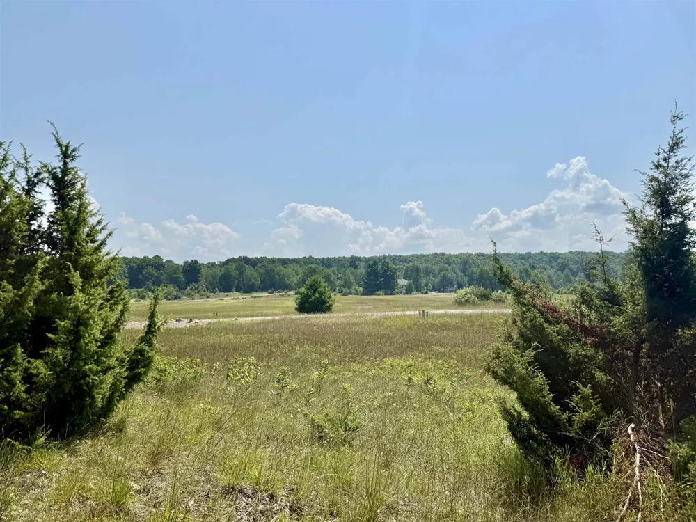 Alden Meadows Drive Helena Township, MI 49612