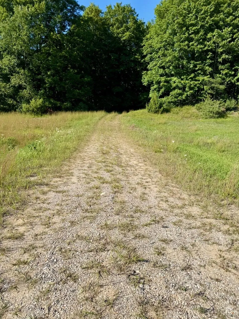 Alden Meadows Drive Helena Township, MI 49612