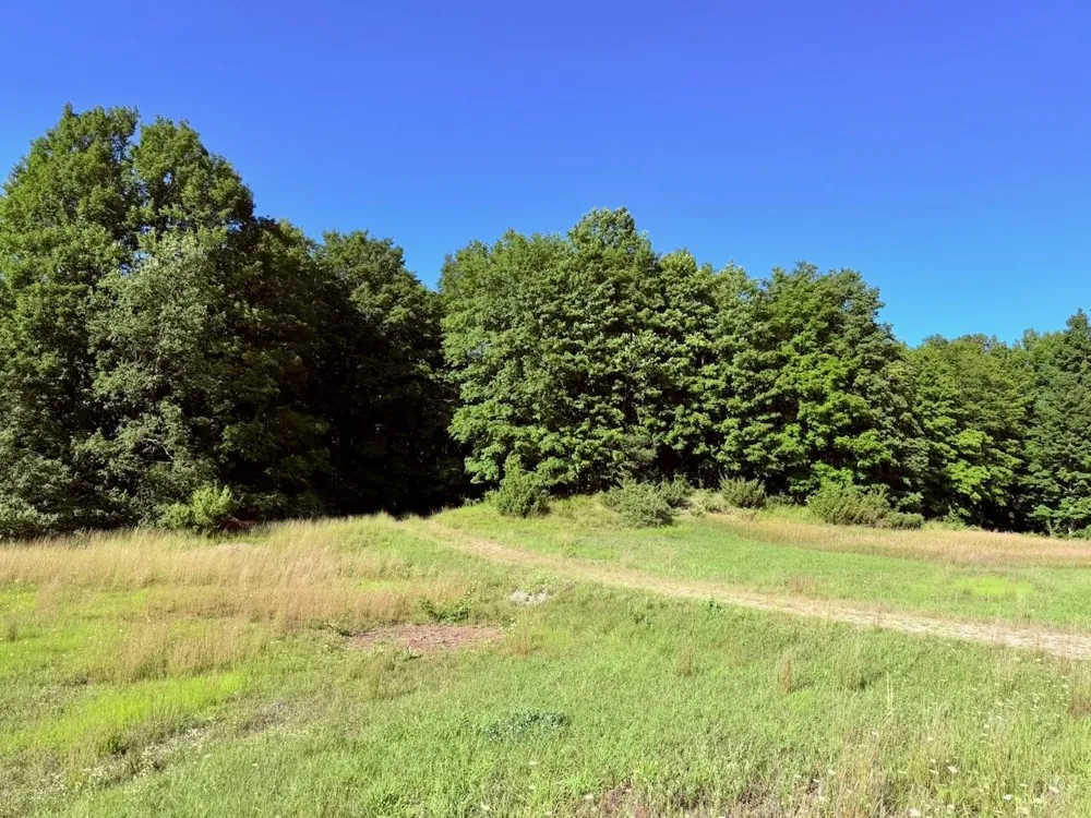 Alden Meadows Drive Helena Township, MI 49612