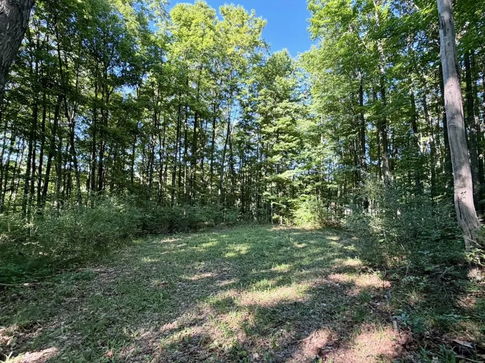 Alden Meadows Drive Helena Township, MI 49612