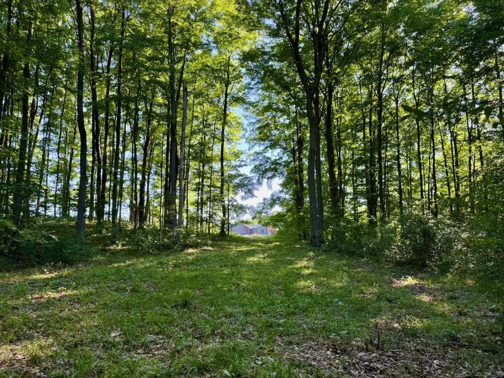 Alden Meadows Drive Helena Township, MI 49612