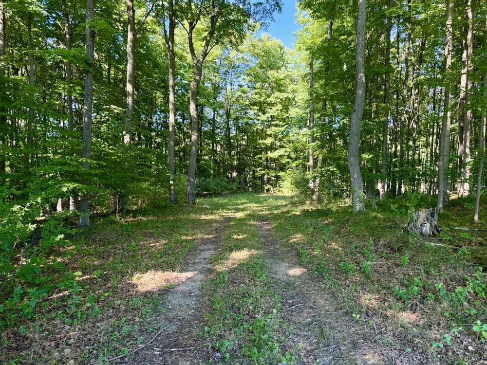 Alden Meadows Drive Helena Township, MI 49612