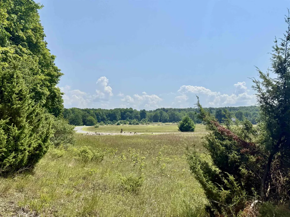 Alden Meadows Drive Helena Township, MI 49612