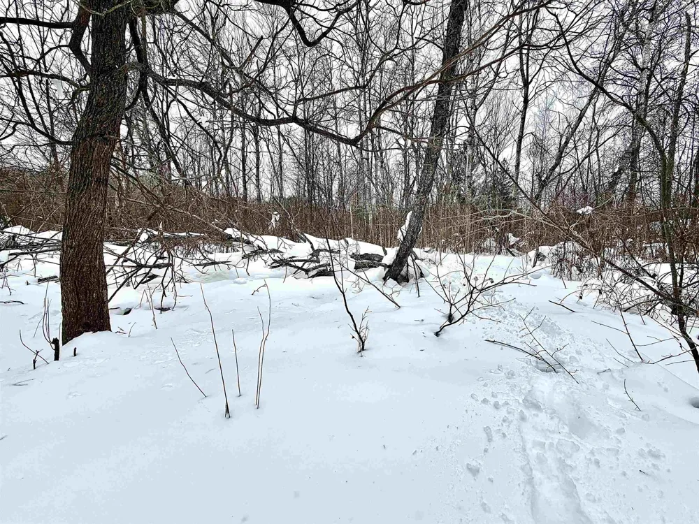 820 Boardman Acres Drive Blair Township, MI 49696
