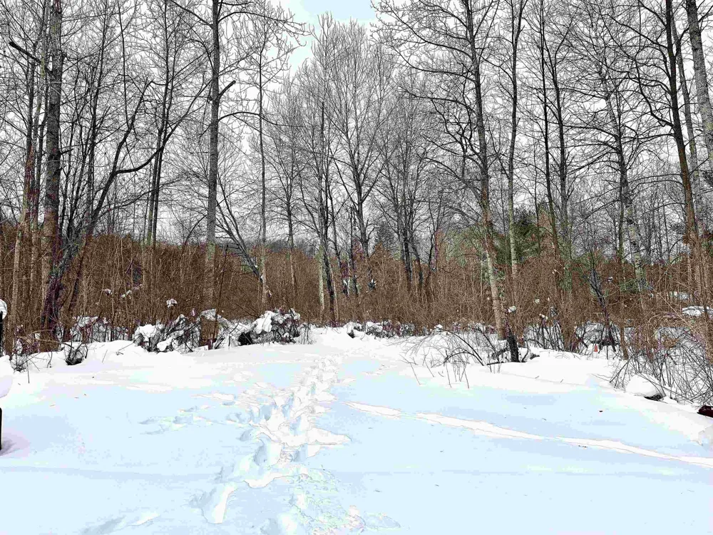 820 Boardman Acres Drive Blair Township, MI 49696