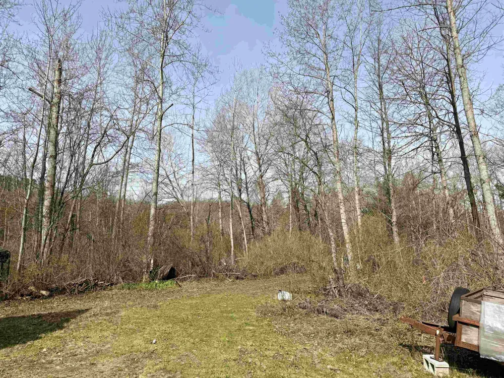 820 Boardman Acres Drive Blair Township, MI 49696