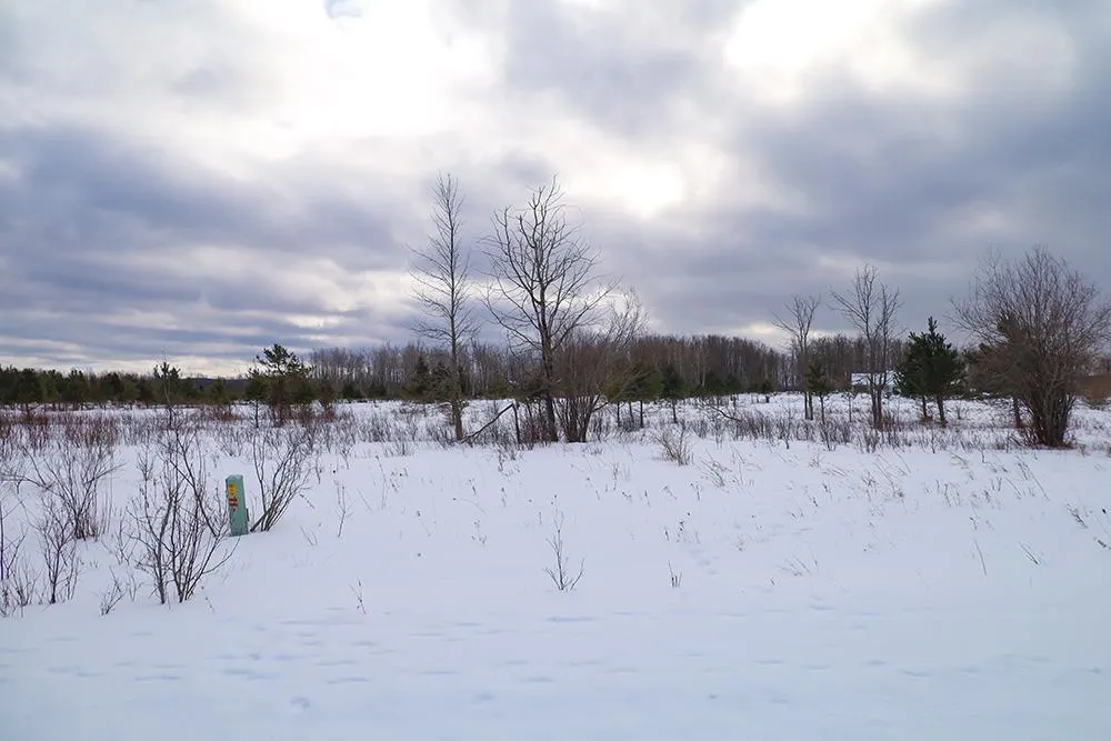 6436 Lora Bette Drive Littlefield Township, MI 49706