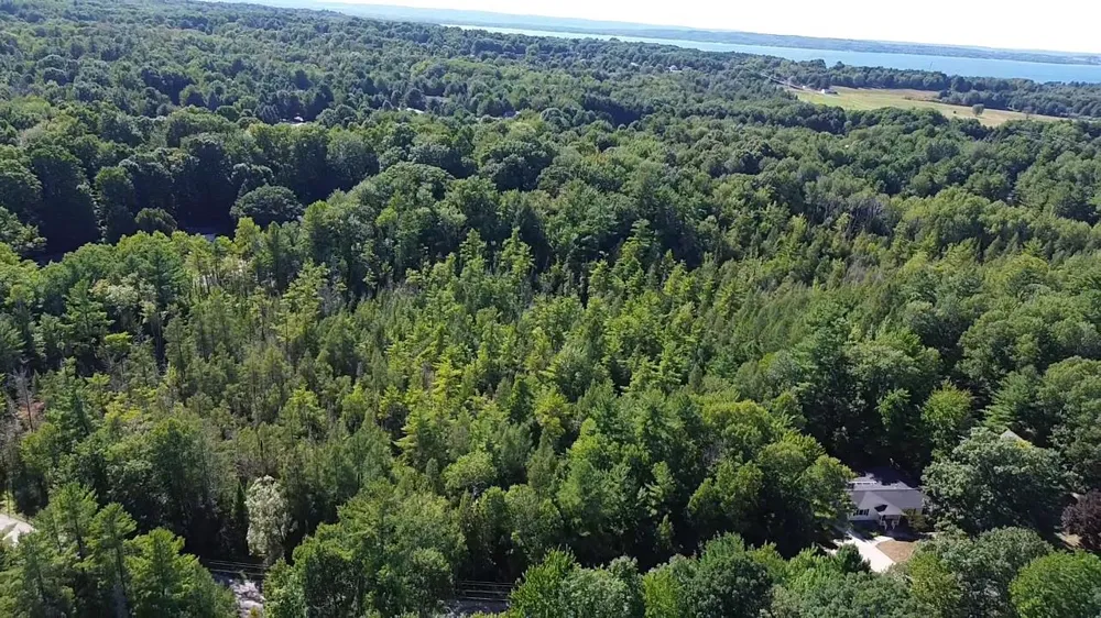 4715 Springbrook Drive Acme Township, MI 49690