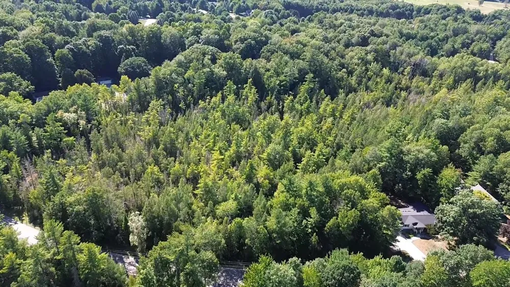 4715 Springbrook Drive Acme Township, MI 49690