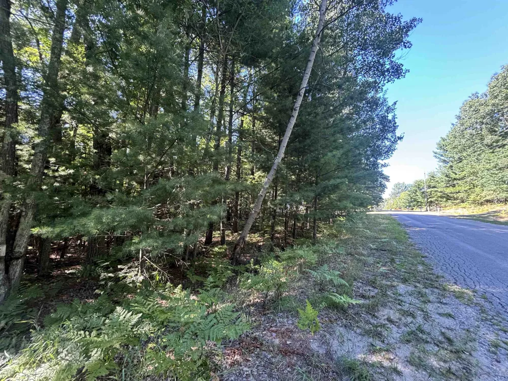 4715 Springbrook Drive Acme Township, MI 49690