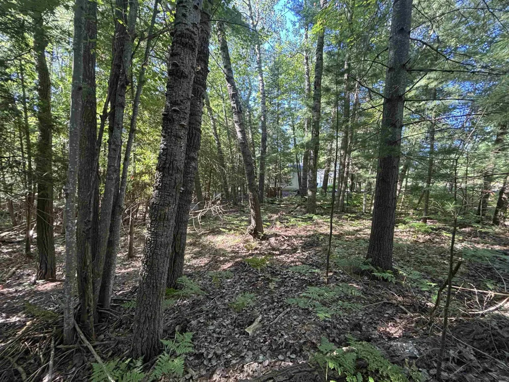 4715 Springbrook Drive Acme Township, MI 49690