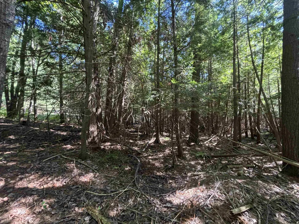 4715 Springbrook Drive Acme Township, MI 49690
