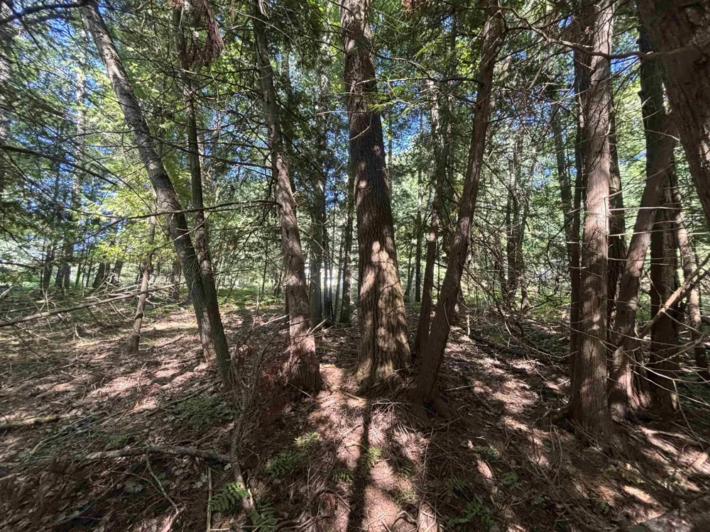 4715 Springbrook Drive Acme Township, MI 49690