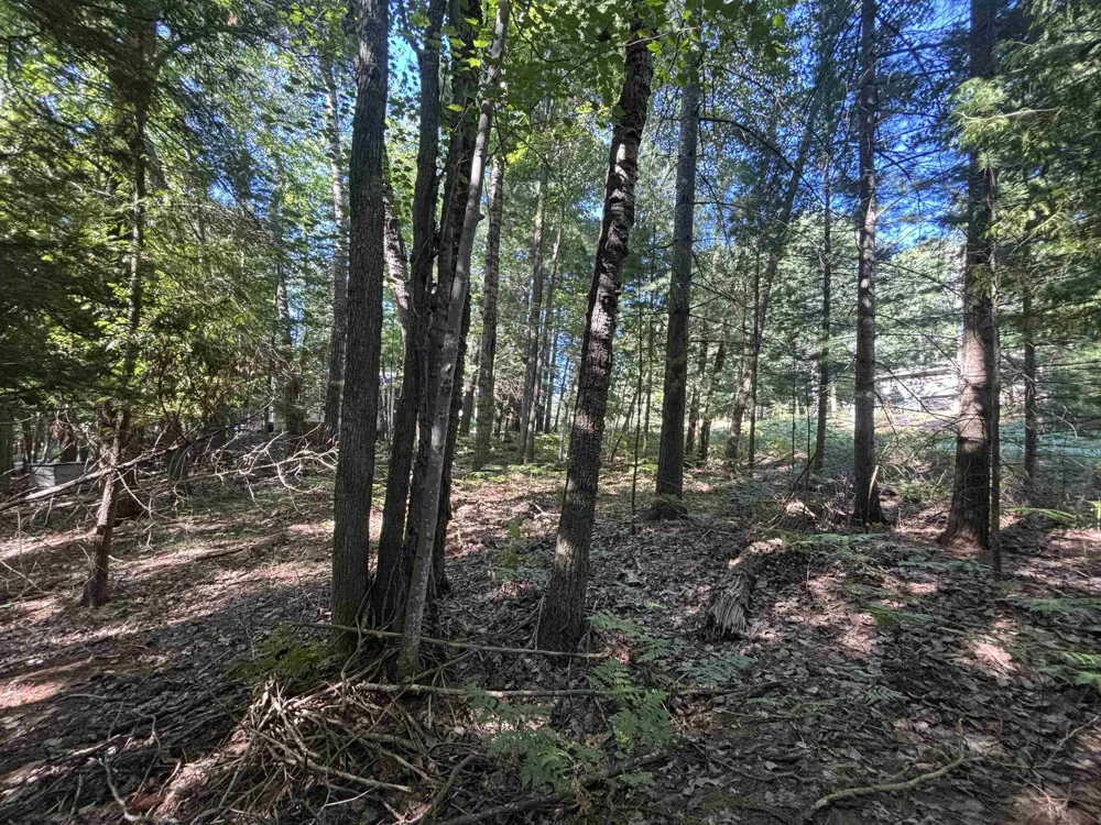 4715 Springbrook Drive Acme Township, MI 49690