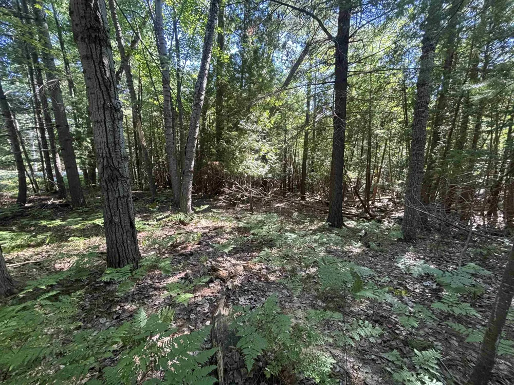 4715 Springbrook Drive Acme Township, MI 49690
