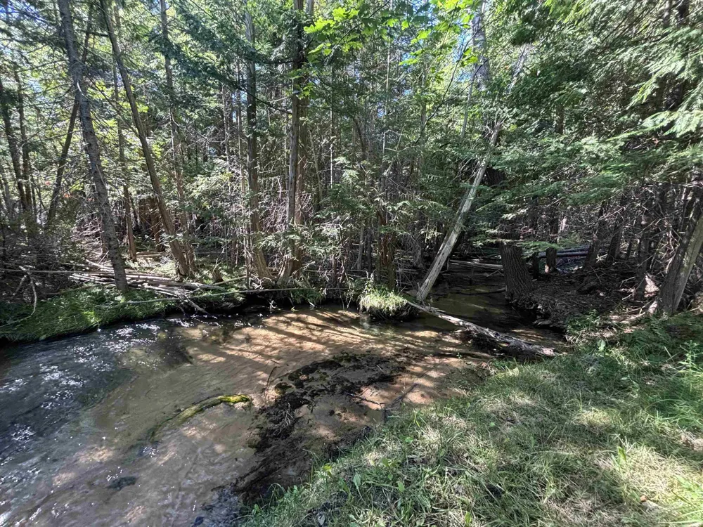 4715 Springbrook Drive Acme Township, MI 49690