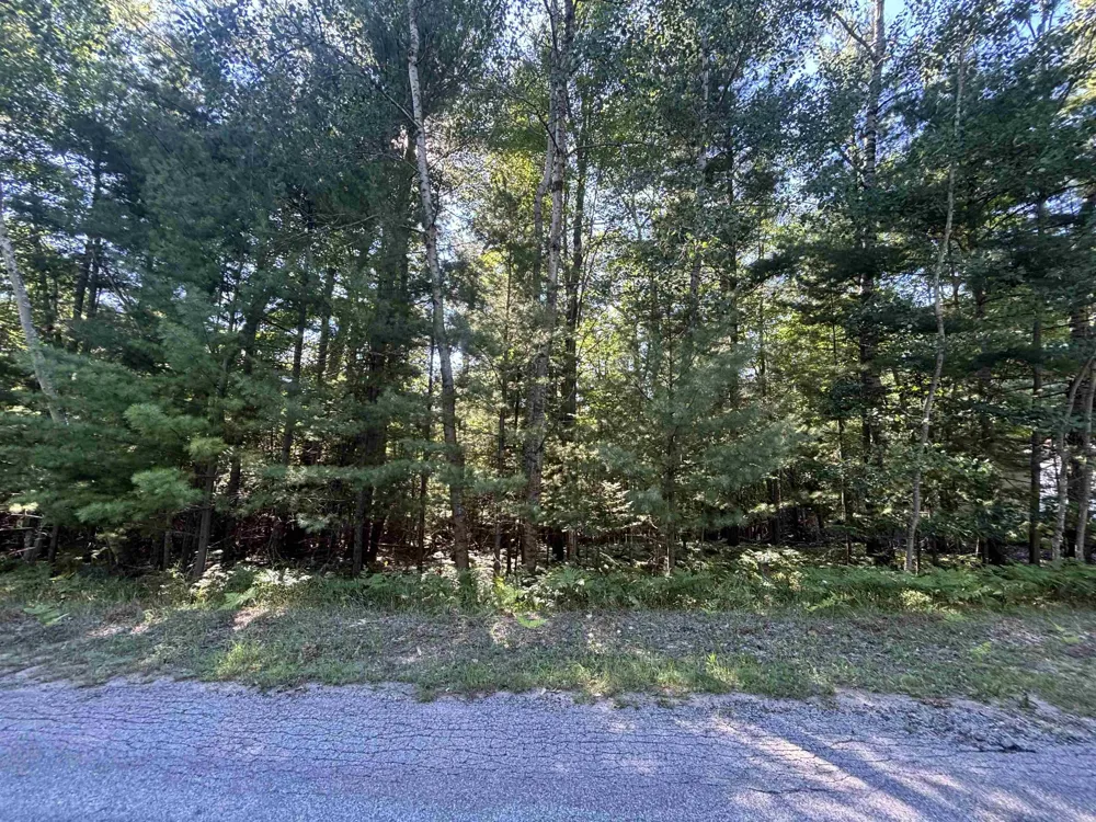 4715 Springbrook Drive Acme Township, MI 49690