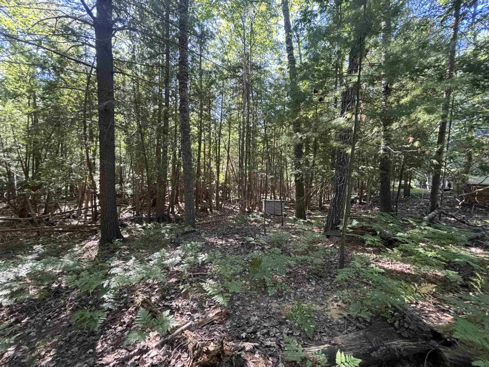 4715 Springbrook Drive Acme Township, MI 49690