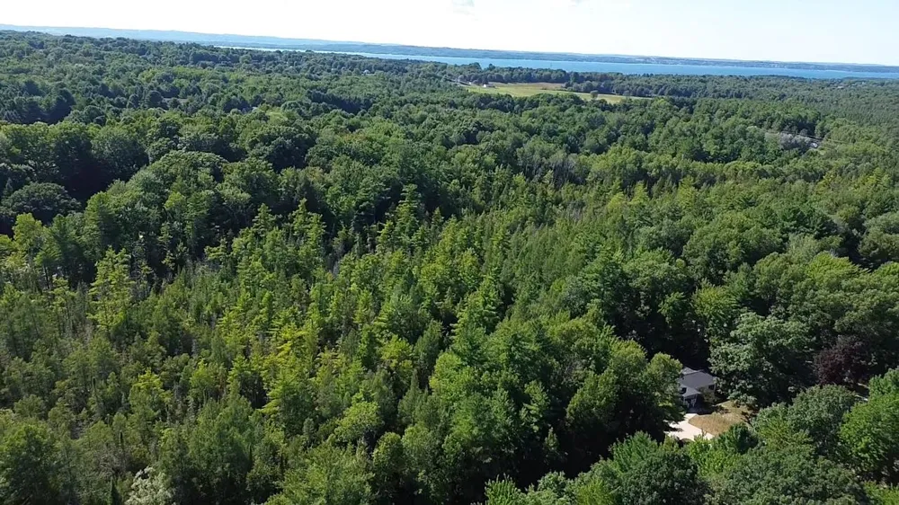 4715 Springbrook Drive Acme Township, MI 49690