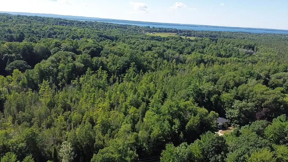 4715 Springbrook Drive Acme Township, MI 49690