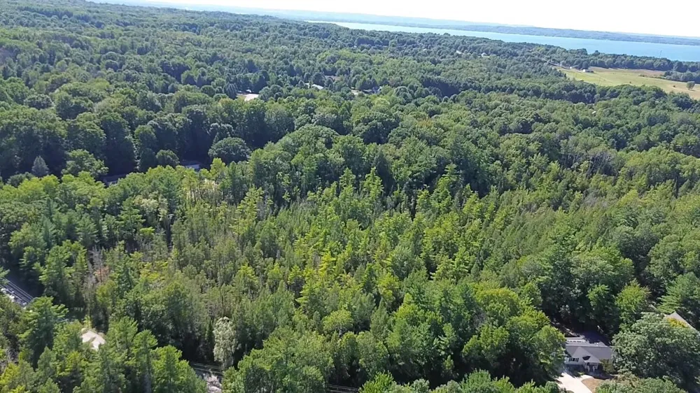 4715 Springbrook Drive Acme Township, MI 49690