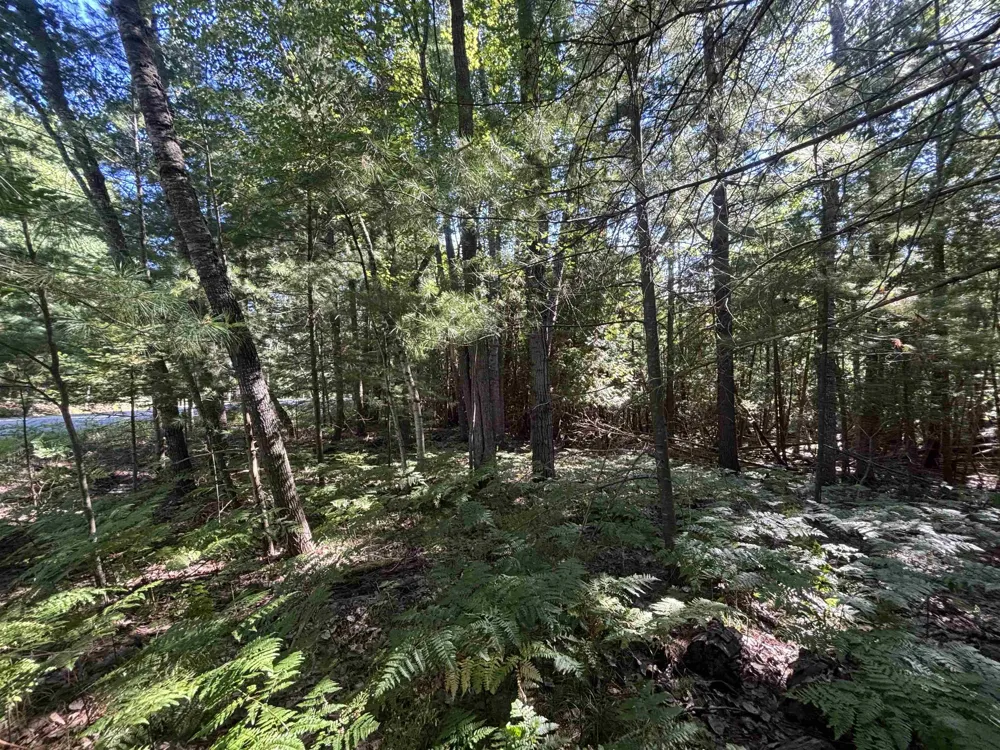 4715 Springbrook Drive Acme Township, MI 49690