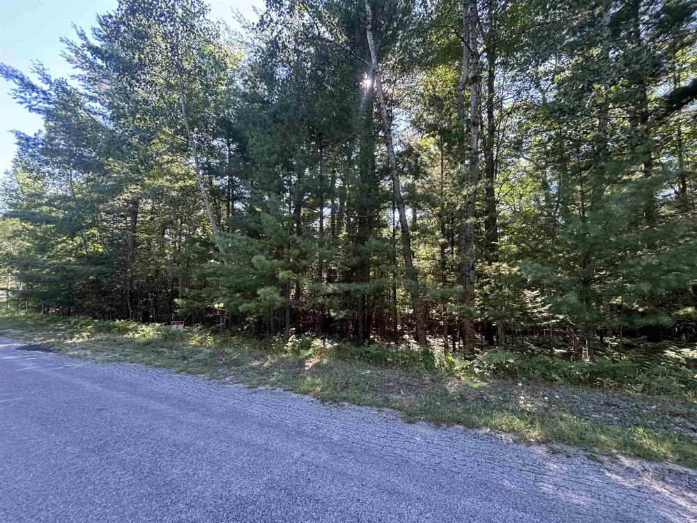4715 Springbrook Drive Acme Township, MI 49690