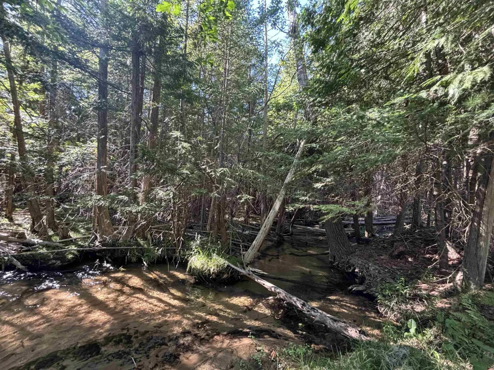 4715 Springbrook Drive Acme Township, MI 49690
