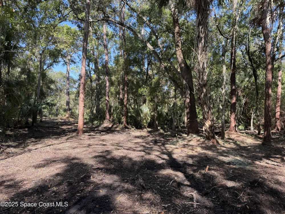 Valkaria Road Malabar, FL 32950