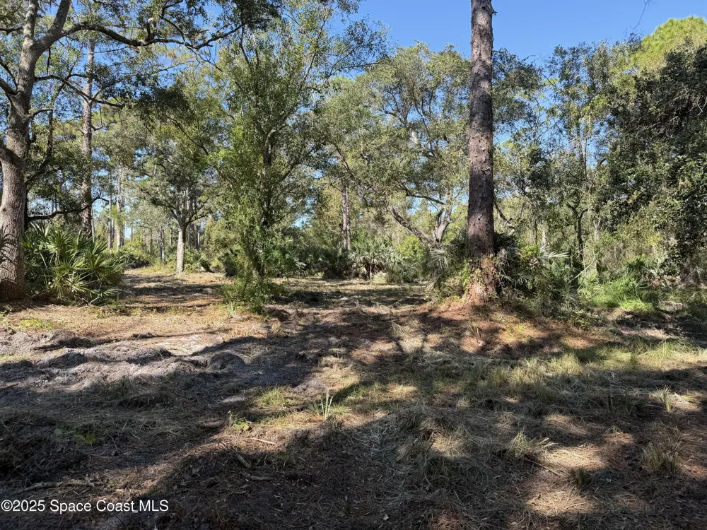 Valkaria Road Malabar, FL 32950
