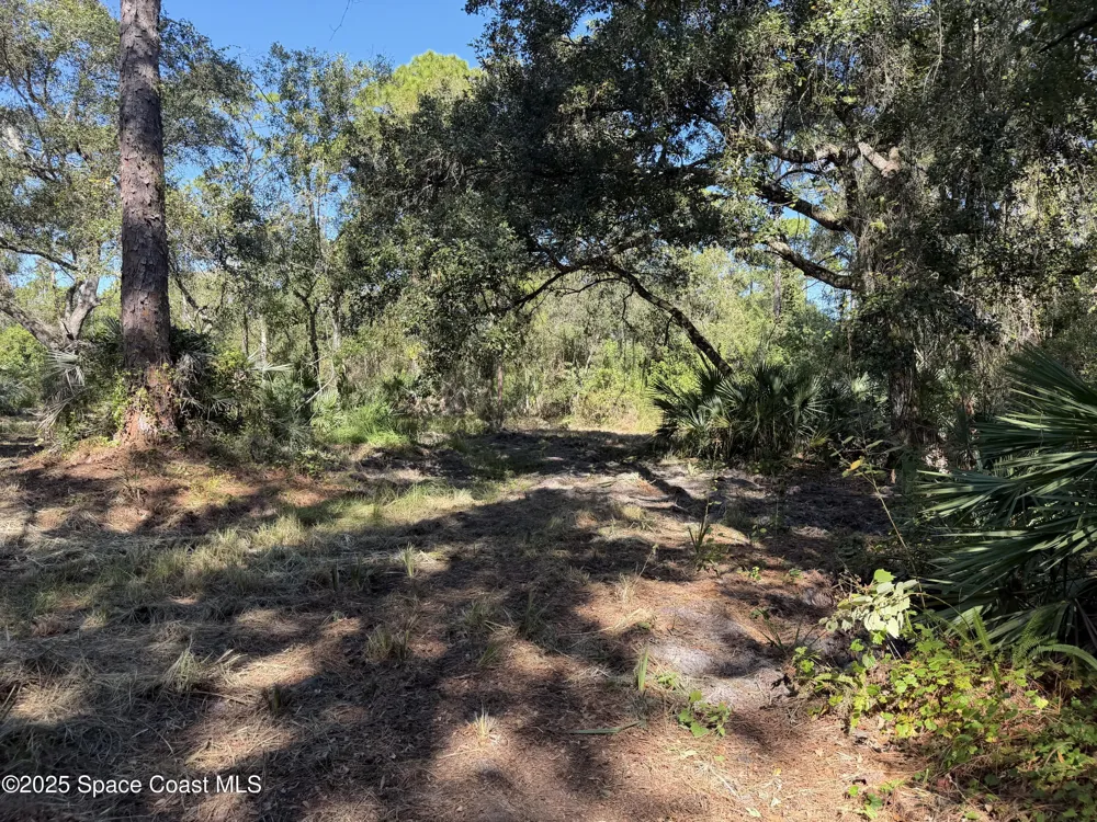 Valkaria Road Malabar, FL 32950
