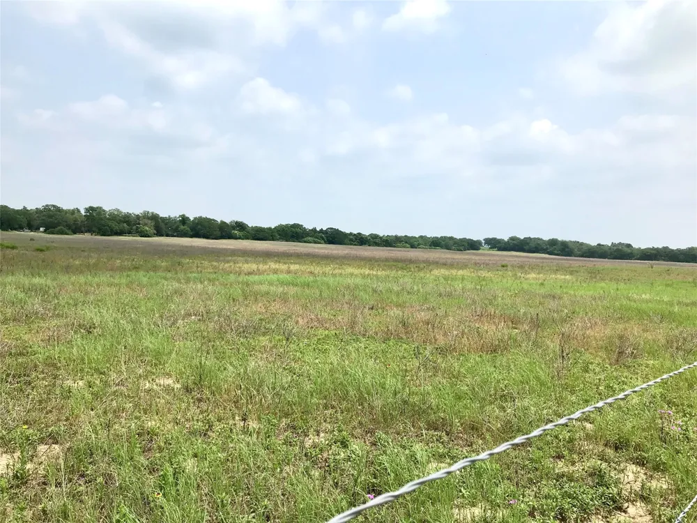 1672 Sayers Tract 3 Road Bastrop, TX 78602