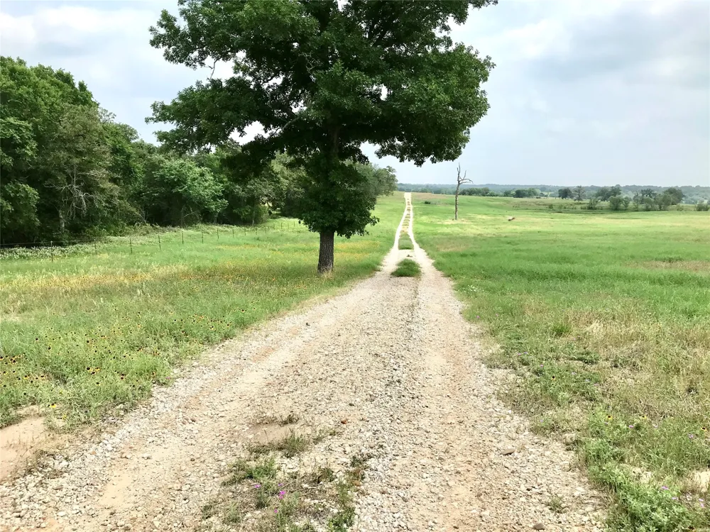 1672 Sayers Tract 3 Road Bastrop, TX 78602