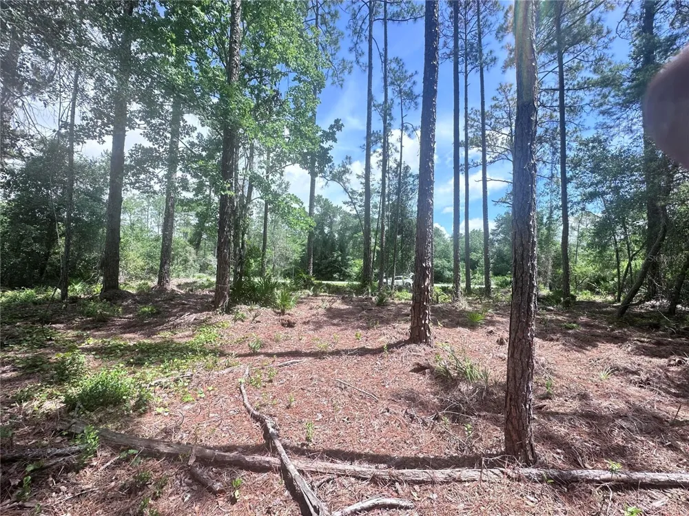 107 S GEORGETOWN POINT ROAD Georgetown, FL 32139