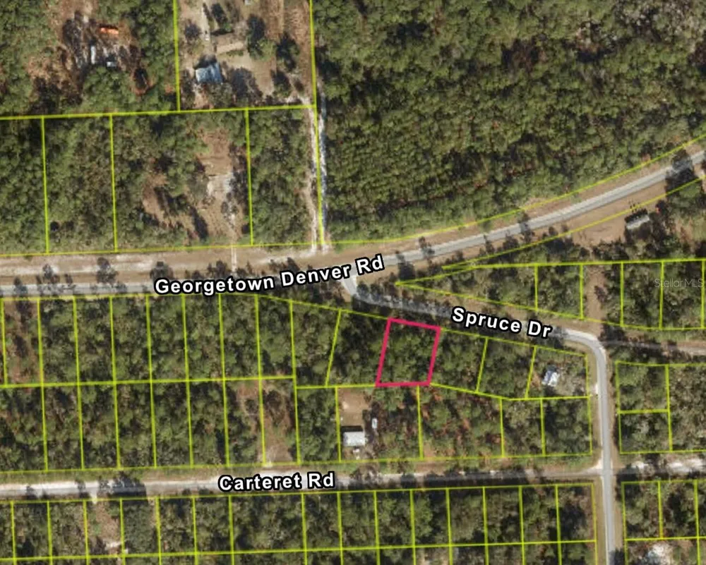 107 S GEORGETOWN POINT ROAD Georgetown, FL 32139