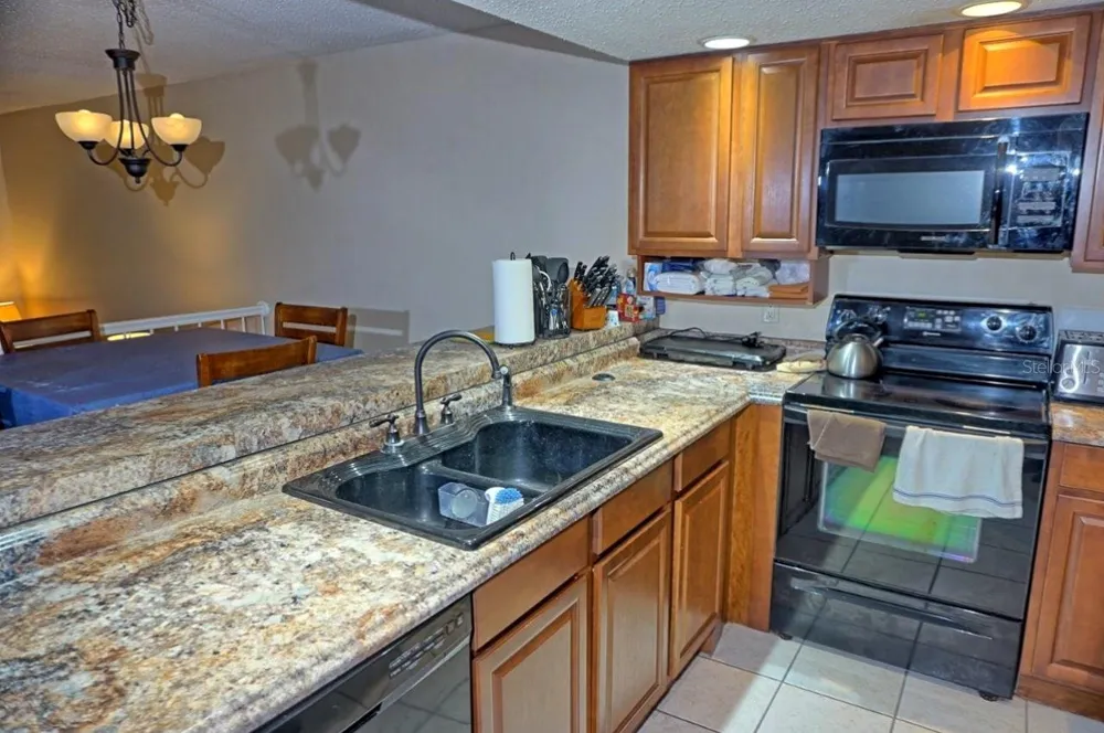 2051 VISTA DEL SOL CIRCLE #202 Lutz, FL 33558