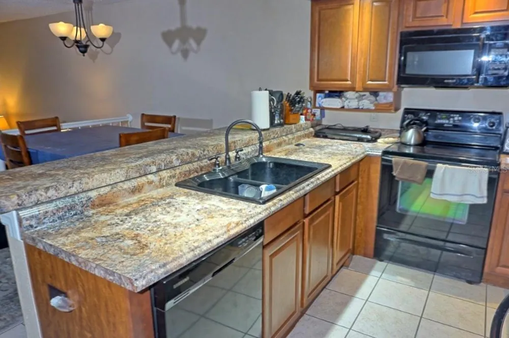 2051 VISTA DEL SOL CIRCLE #202 Lutz, FL 33558