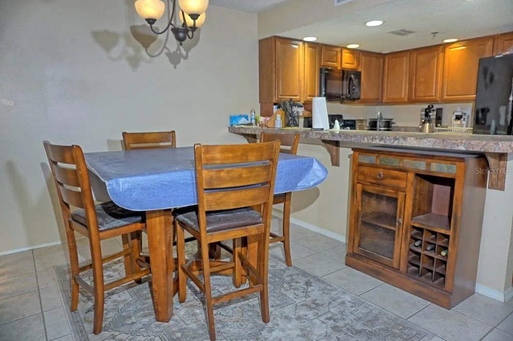 2051 VISTA DEL SOL CIRCLE #202 Lutz, FL 33558