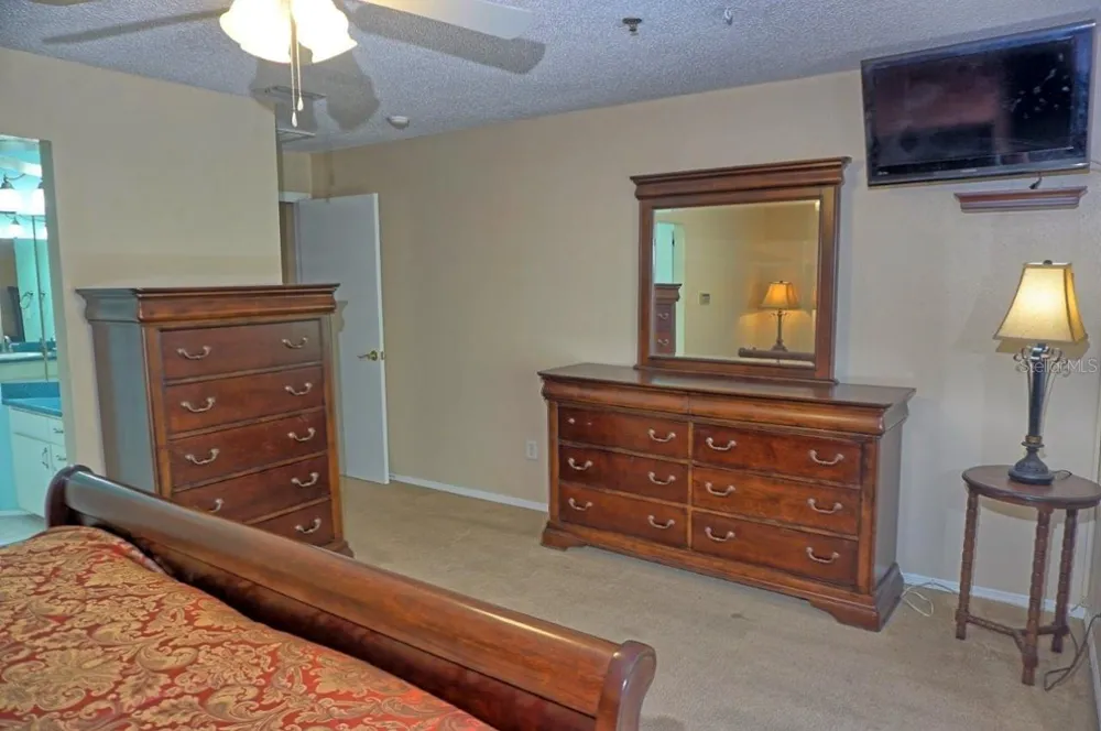 2051 VISTA DEL SOL CIRCLE #202 Lutz, FL 33558