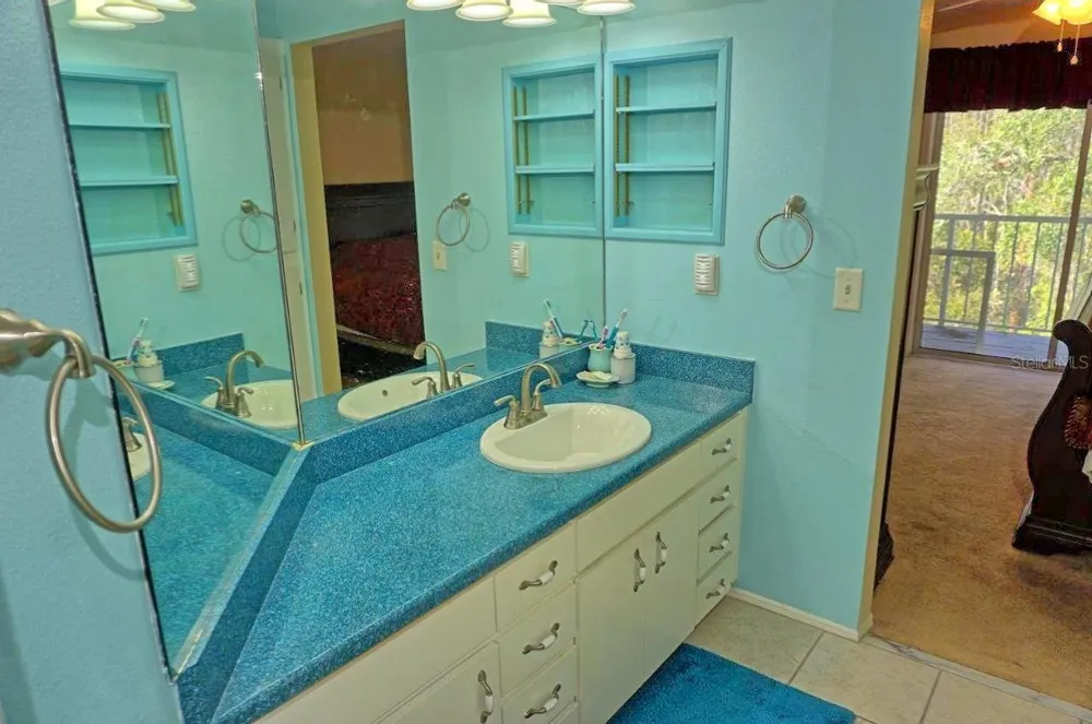 2051 VISTA DEL SOL CIRCLE #202 Lutz, FL 33558