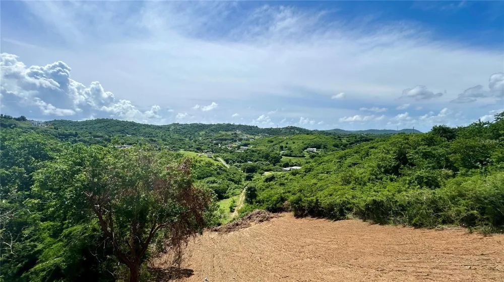 557 VILLA BORINQUEN Vieques, PR 00765