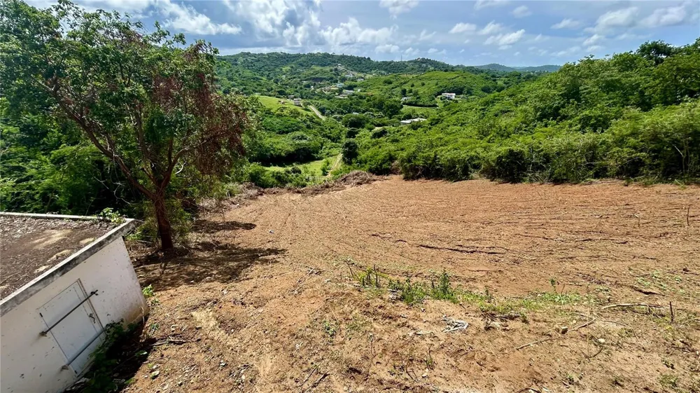 557 VILLA BORINQUEN Vieques, PR 00765