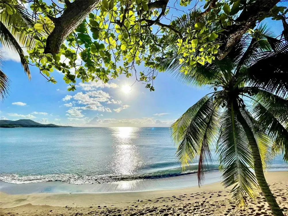 557 VILLA BORINQUEN Vieques, PR 00765