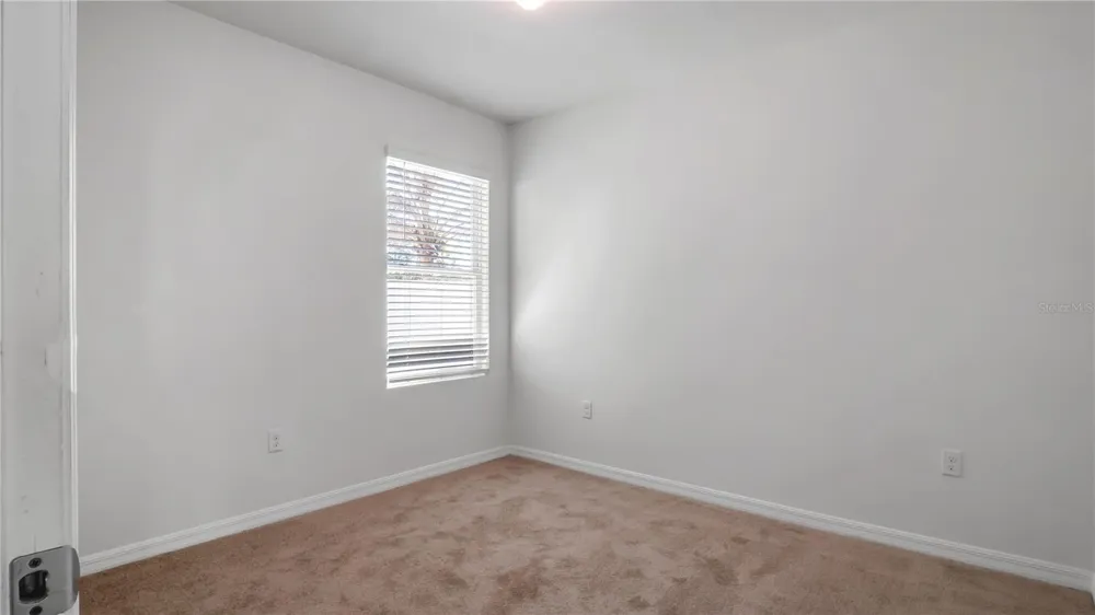 3503 DIAMOND LEAF COURT Valrico, FL 33594