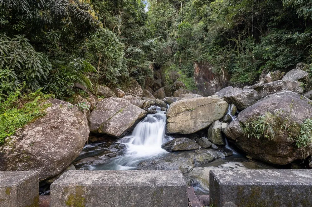 Carr. 960 Km. 17.6 BO.GUZMAN ARRIBA Rio Grande, PR 00745