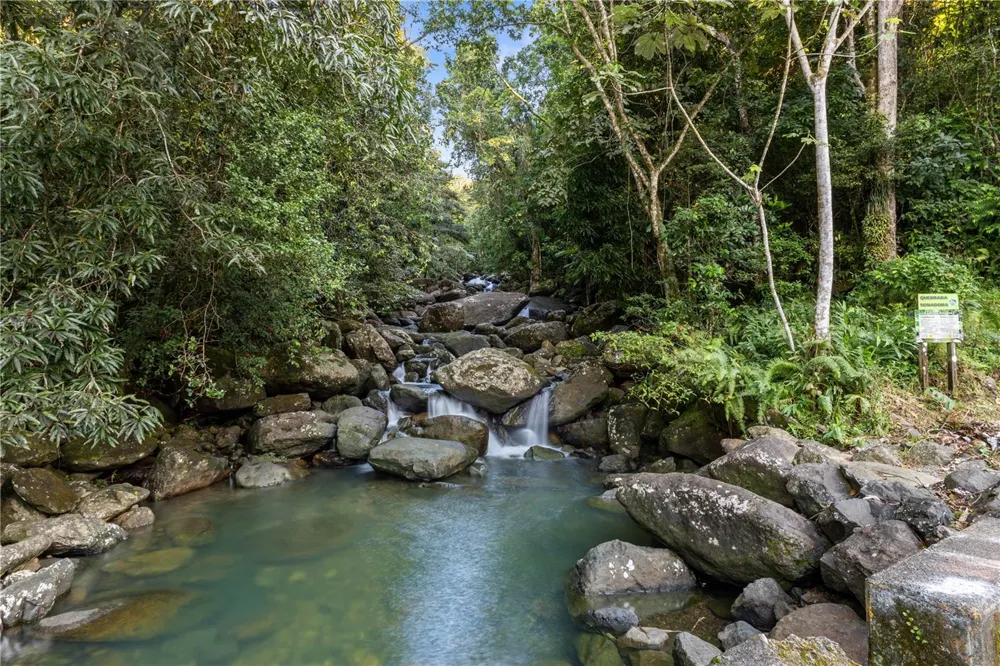Carr. 960 Km. 17.6 BO.GUZMAN ARRIBA Rio Grande, PR 00745