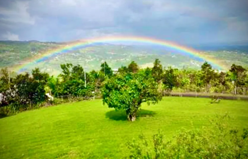 Carr. 960 Km. 17.6 BO.GUZMAN ARRIBA Rio Grande, PR 00745